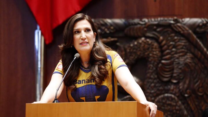 Kenia López Rabadán en la tribuna de la Cámara de Diputados